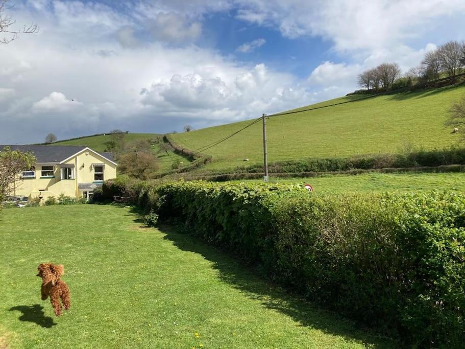 Charming Countryside Cottage Ground Floor Apartment In Combeinteignhead Devon Bishopsteignton Buitenkant foto